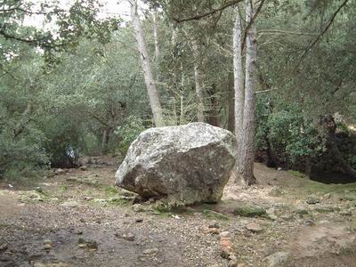 DSCF0097.JPG